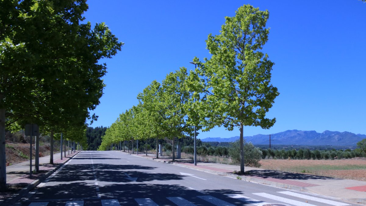 Una de las calles urbanizadas del polígono industrial del Molló, en Móra la Nova y Tivissa.
