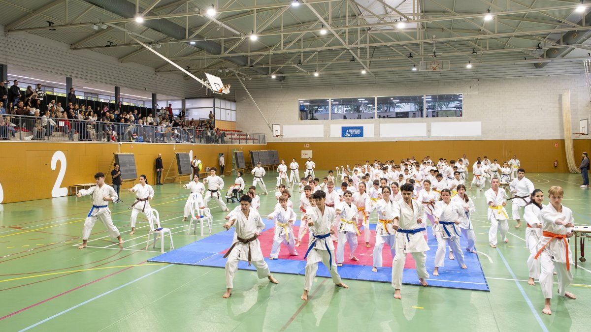 L’estil Kushin Kai va ser introduït a Catalunya pel mestre japonès Kozo Mizoguchi