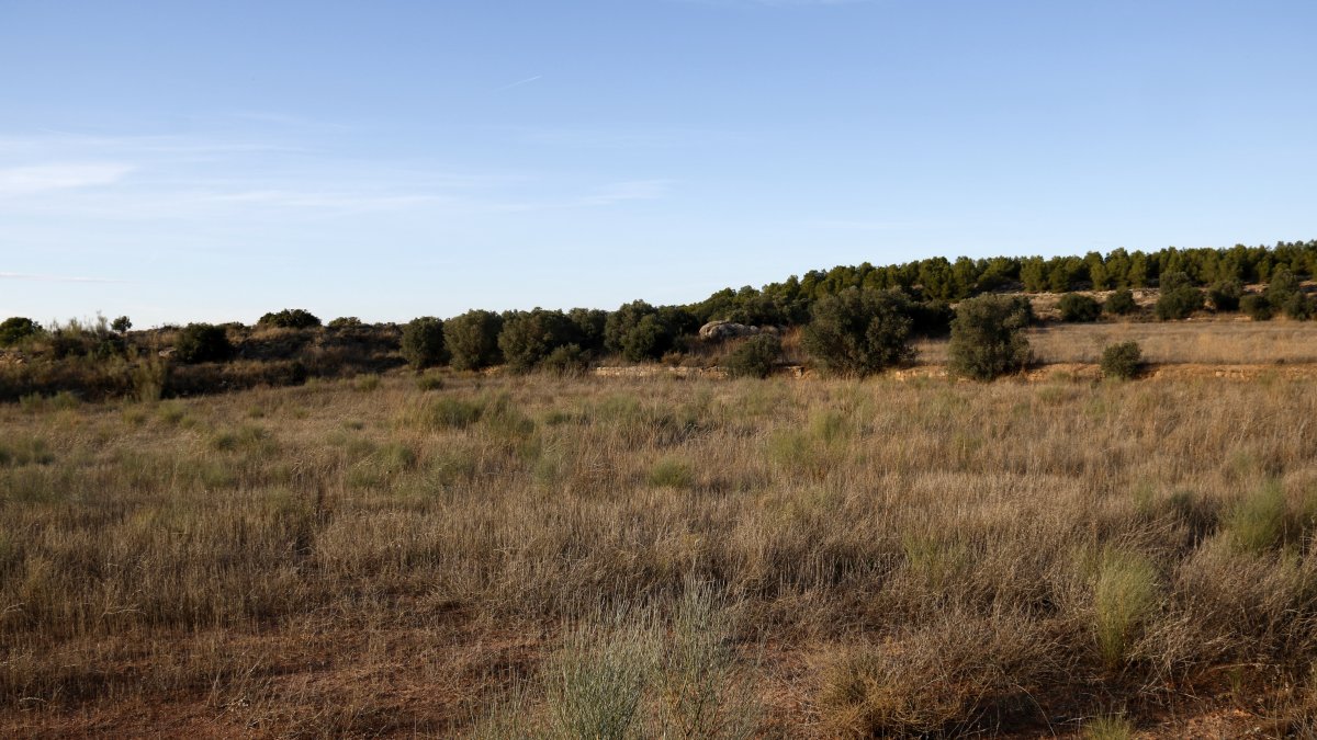 Imatge d’una finca abandonada des de fa una dècada a Lleida.