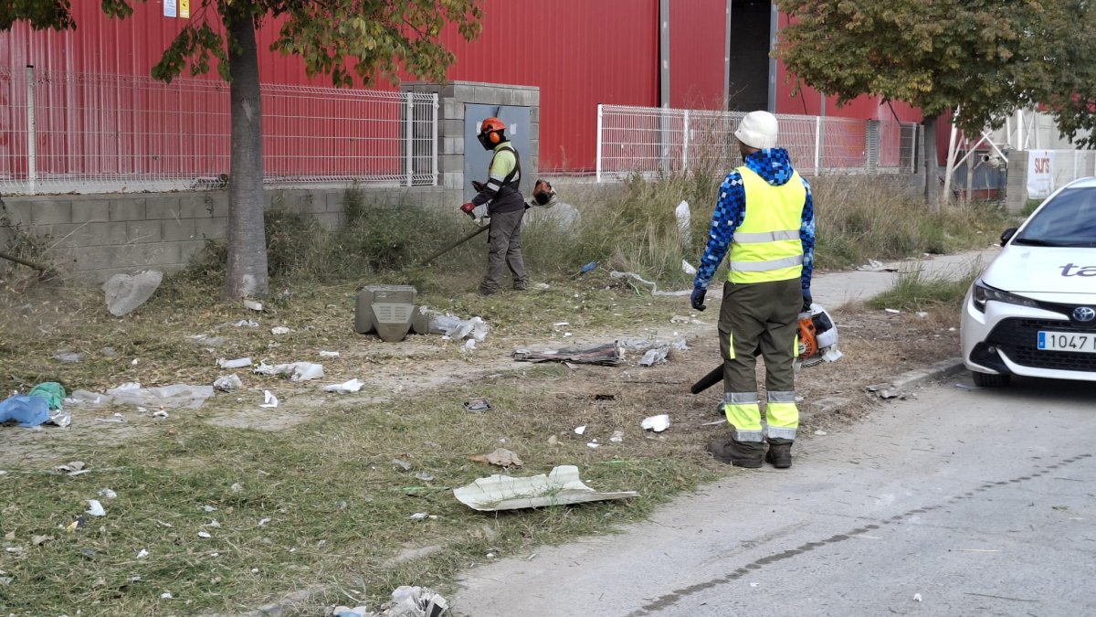 Cinco peones con desbrozadoras se encargan de cortar las malas hierbas y recoger los residuos.