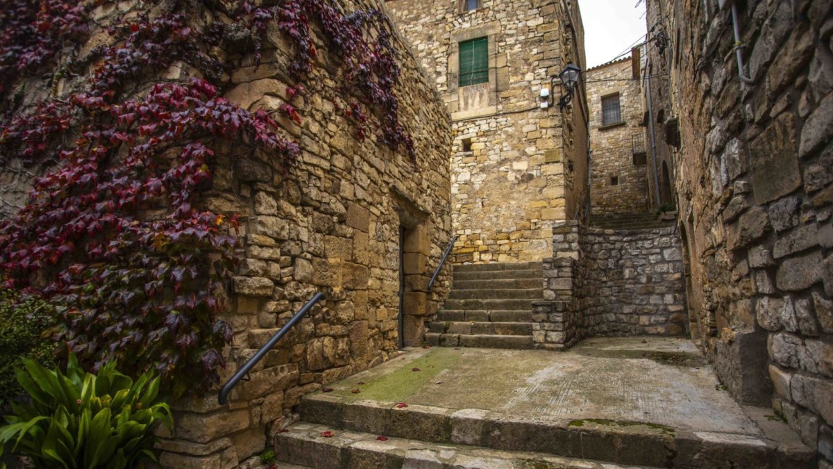 Imatge de Passanant i Belltall.