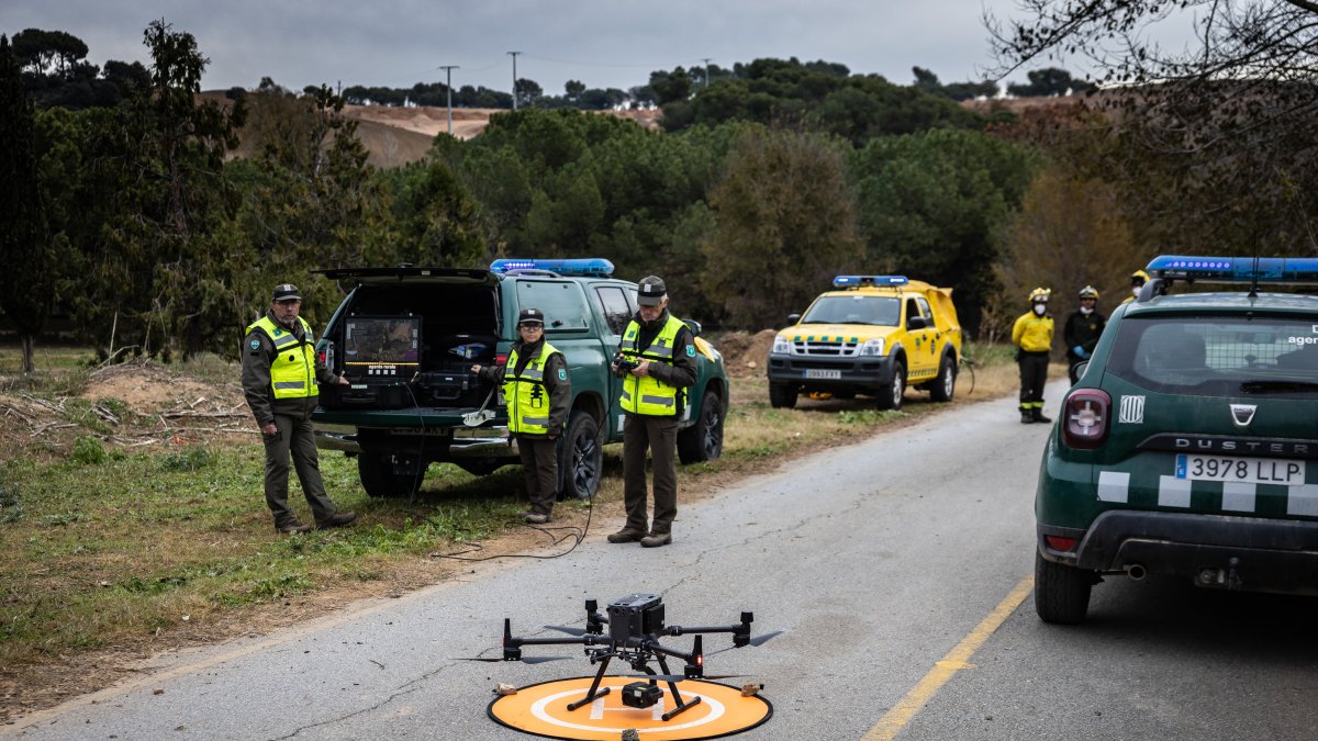 Agents Rurals quieren un dron en la zona afectada por la peste porcina africana