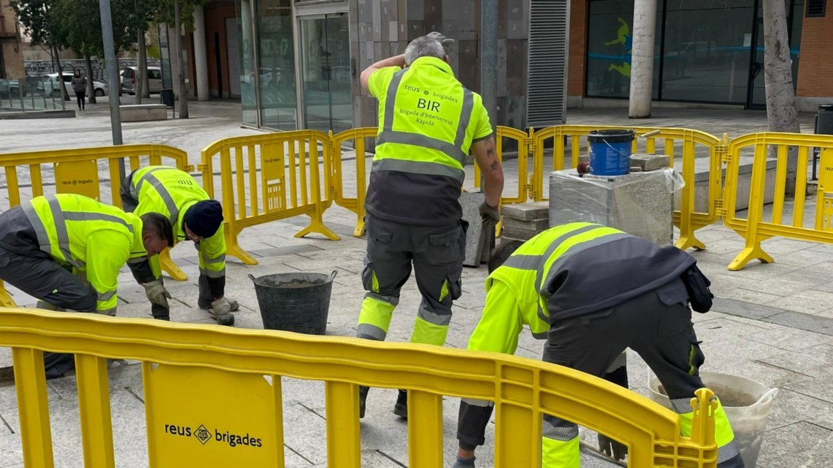 Esta brigada es un equipo específico creado para responder de manera inmediata a situaciones e incidencias de la vía pública