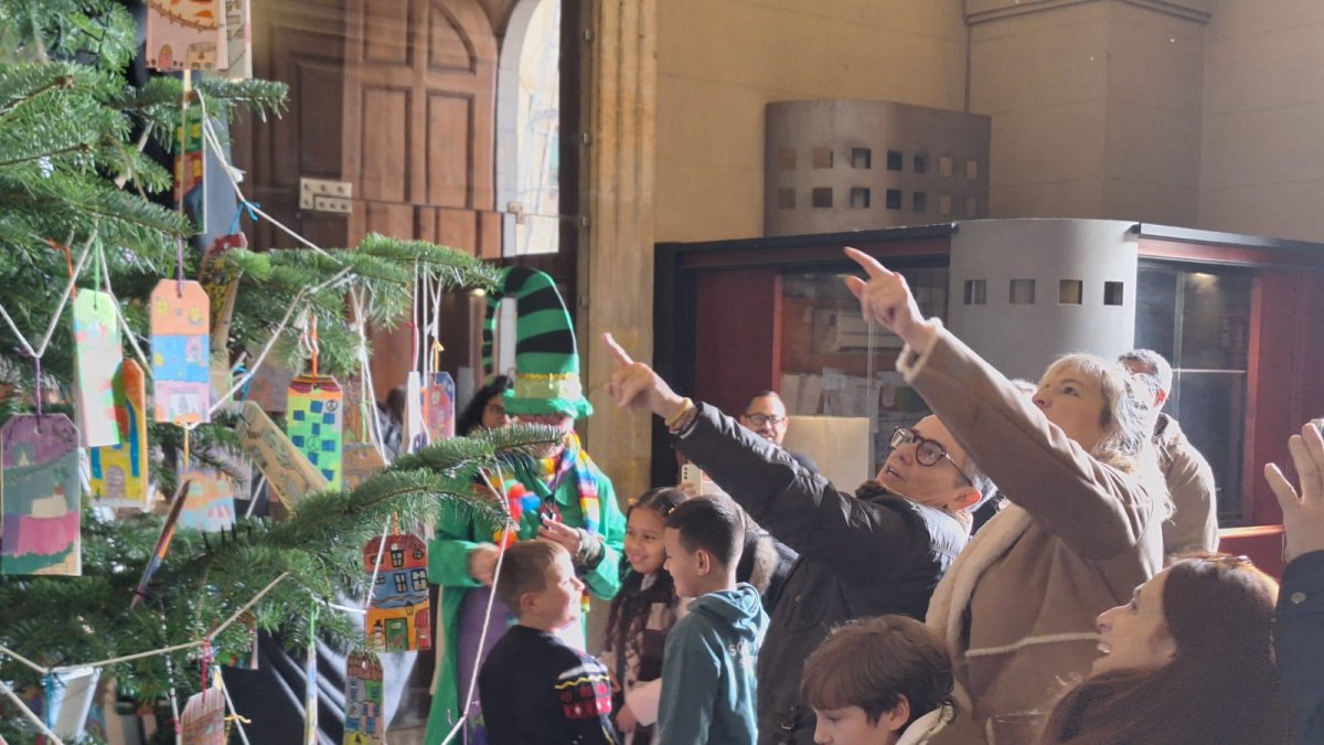 Imatge de l'Arbre dels Destitjos