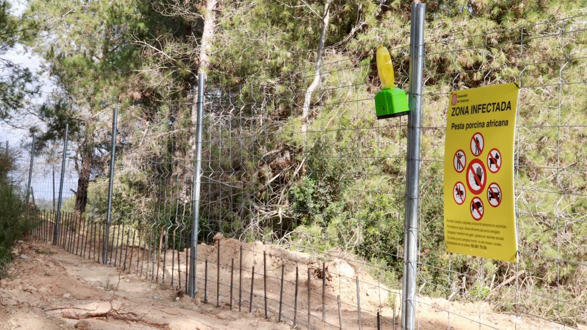 Vallas instaladas para evitar el paso de jabalíes en una zona forestal de Rubí.