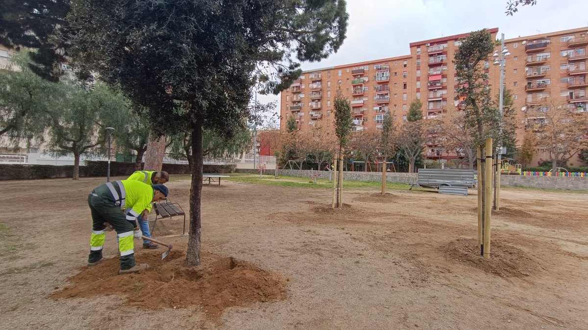 Dos miembros de la brigada municipal replantando un árbol.