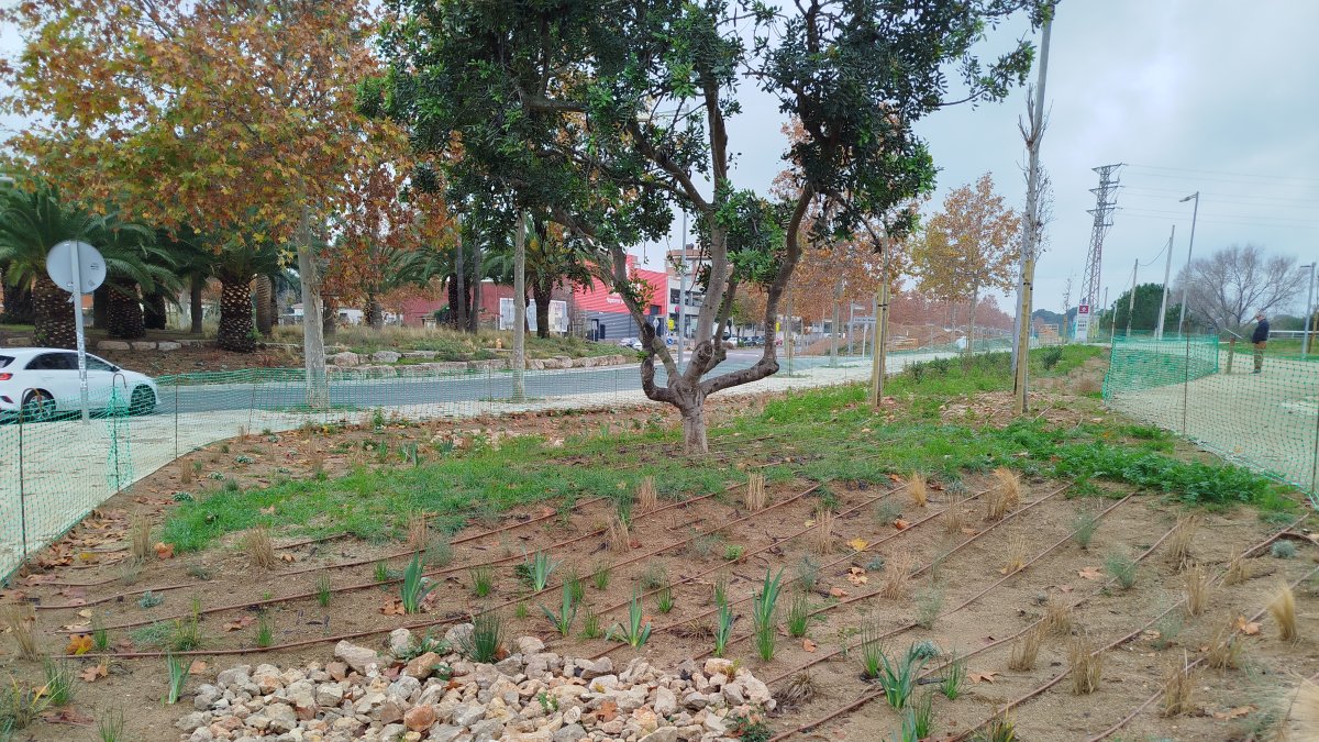 Imatge del SUDS de l'avinguda Riudoms.