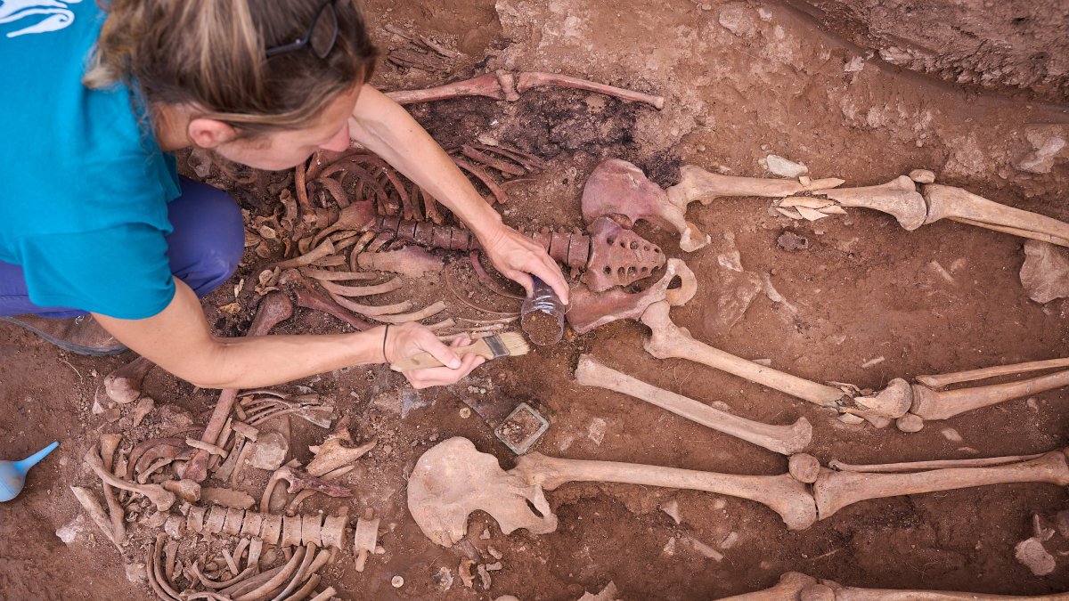 Imatge de l'excavació d'una fossa aquest 2025