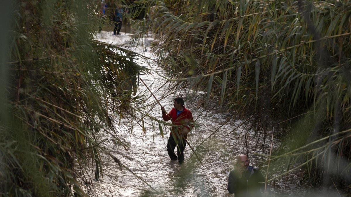 Un grup de voluntaris al riu Fahala al seu pas per Alhaurín el Grande busca juntament amb la Guàrdia Civil a dos homes que es trobaven desapareguts