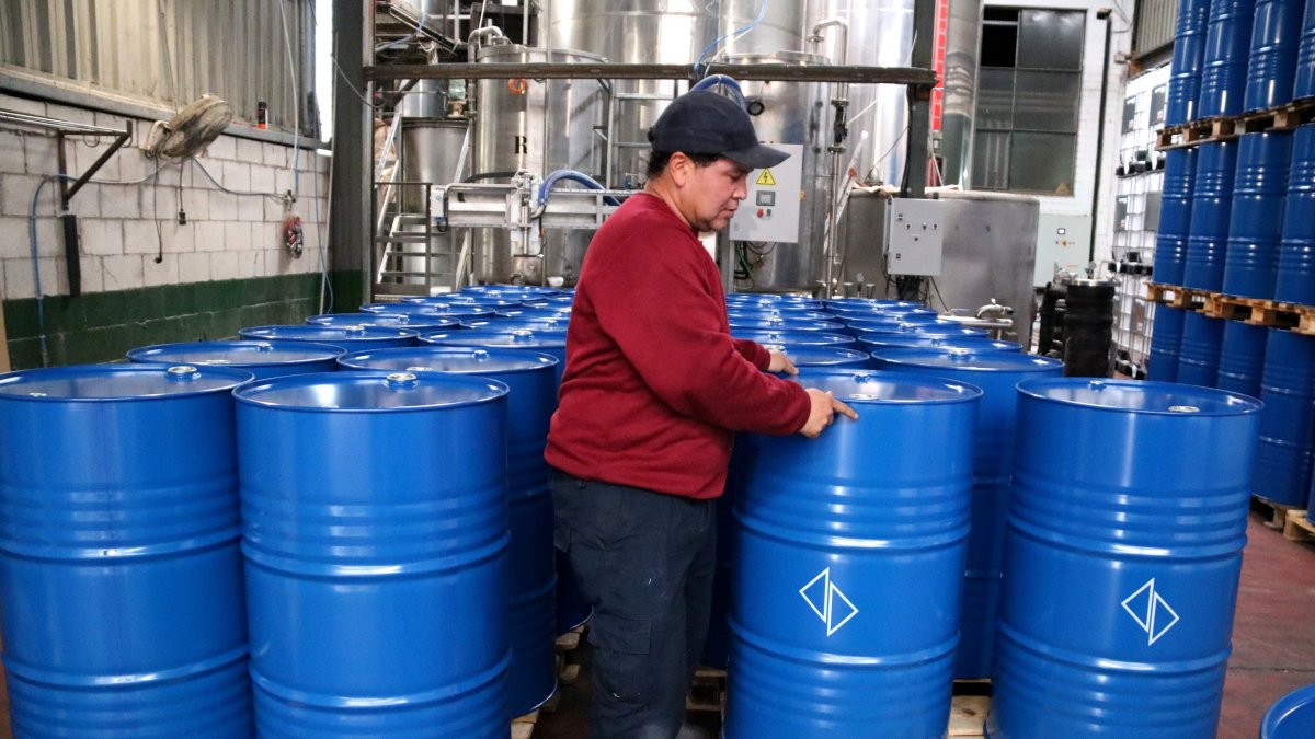 Un empleat de l'oleícola Faiges preparant bidons d'envasament a Tortosa.
