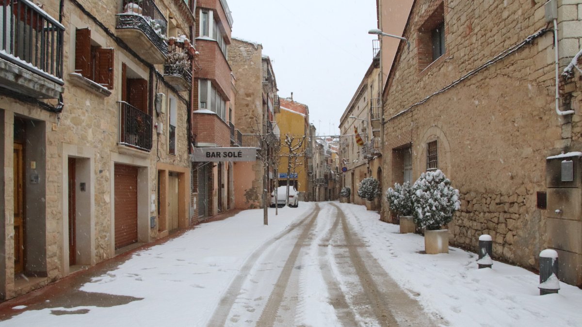 Imagen de la nevada en Vimbodí i Poblet.