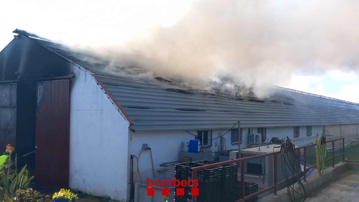 Imatge de l'incendi a la granja de conills de la Selva del Camp.