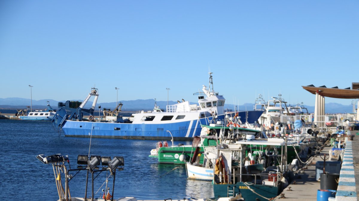 Imatge del port de Roses