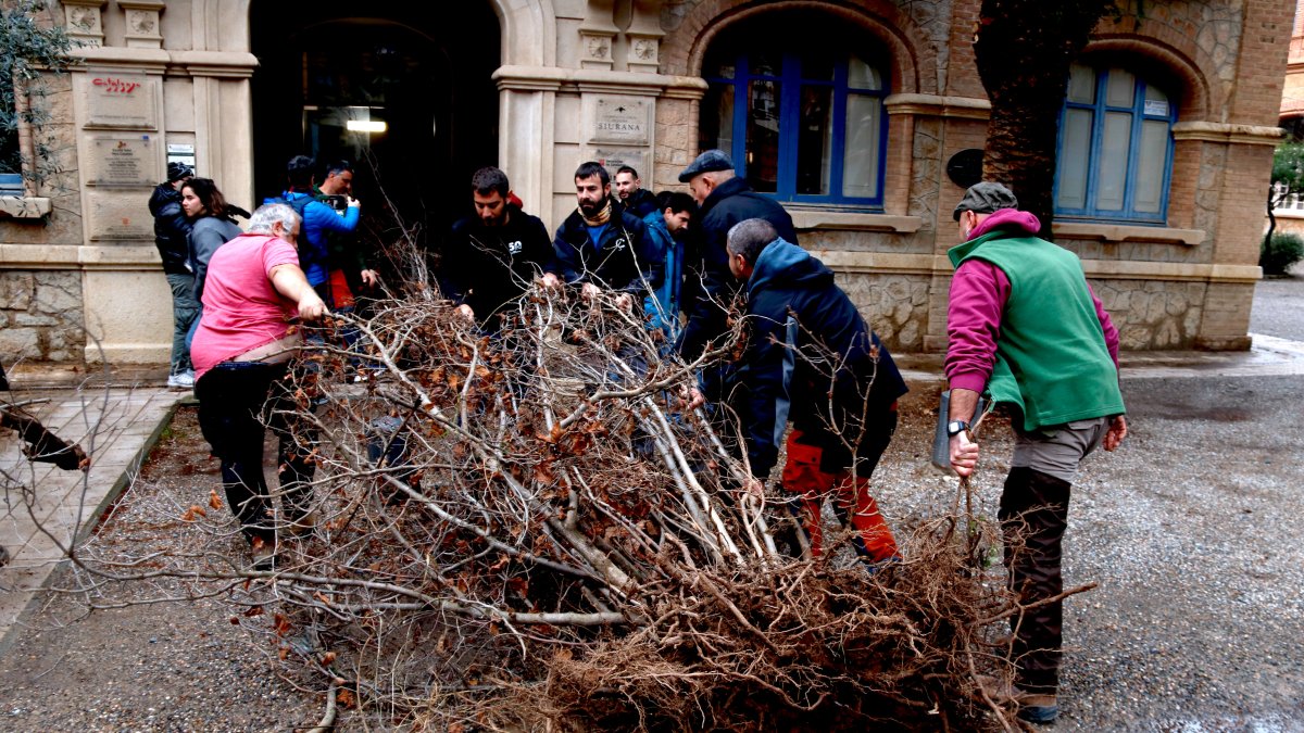 Diversos pagesos porten avellaners morts a les oficines del Departament d'Agricultura a Reus
