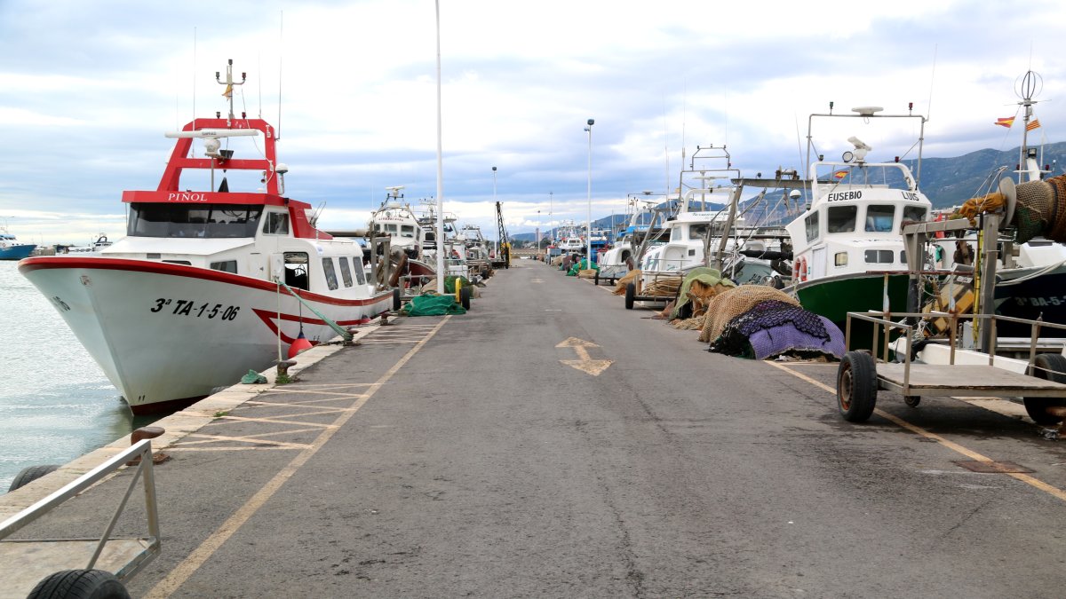 Embarcacions amarrades al port de la Ràpita