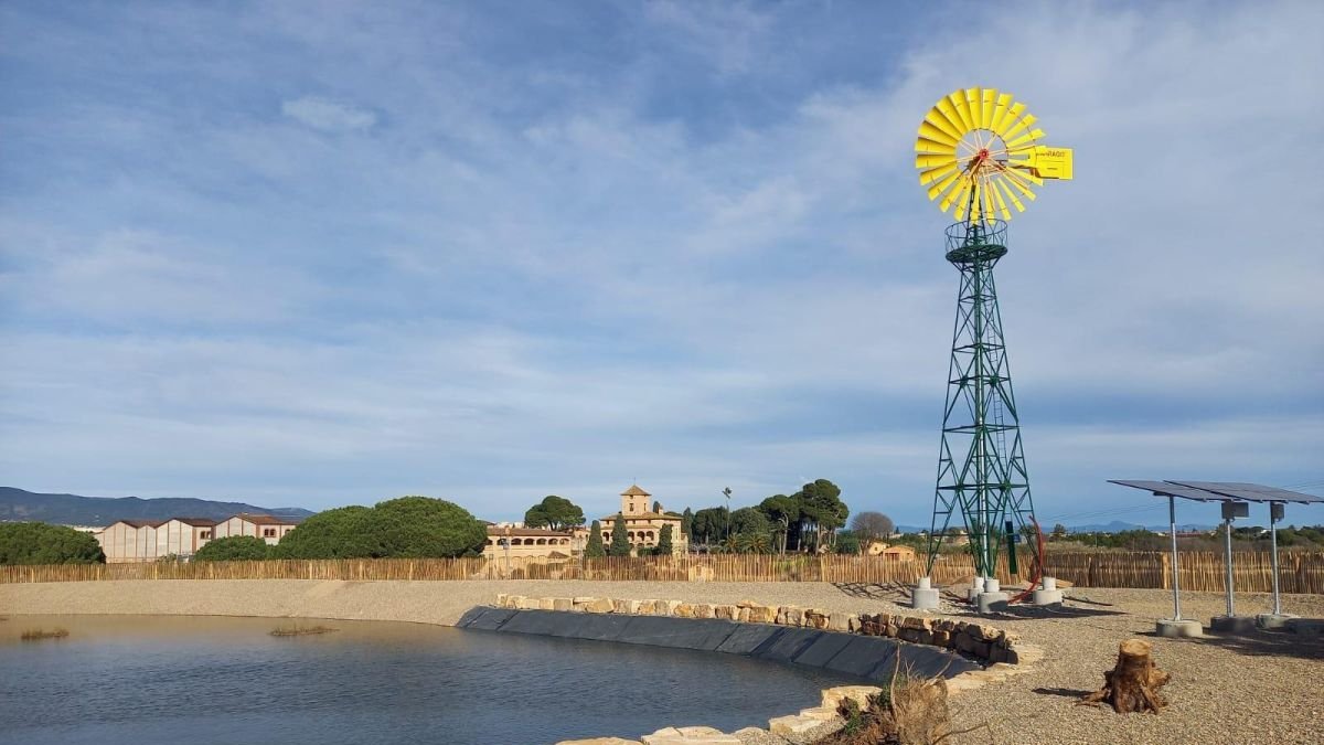 La bassa naturalitzada es troba a l'entorn d'Aigüesverds i s'ha creat per fomentar la biodiversitat i apropar la ciutadania a la natura.
