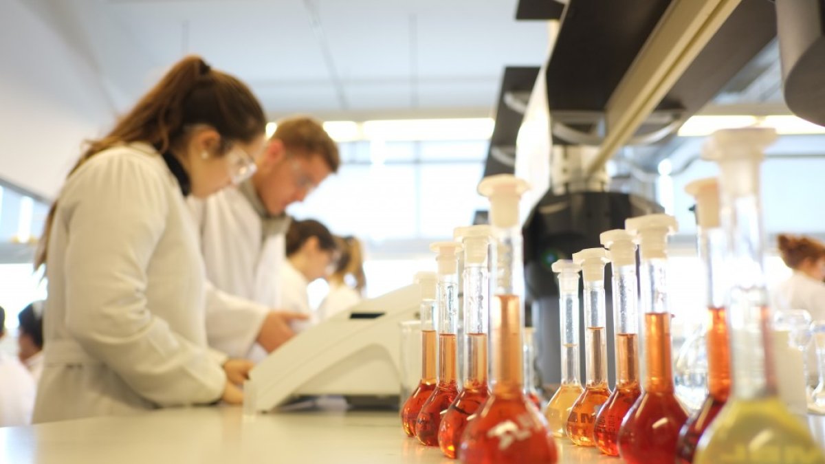 Estudiants treballant en un laboratori de la URV.