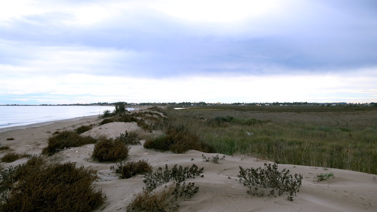 Imatge de la platja de la bassa de l'Arena, la guarda de protecció i l'espai que s'incorporarà al domini públic maritimoterrestre amb la nova delimitació de Costes.