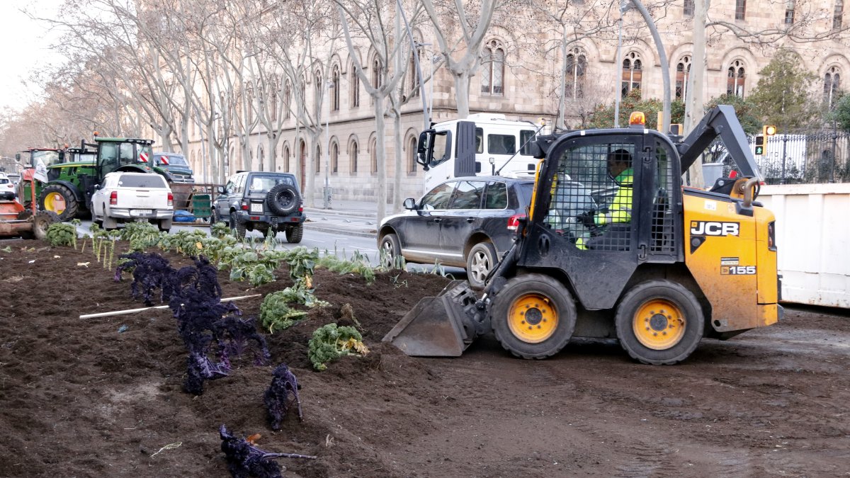 Els serveis municipals han retirat l'hort urbà de Revolta Pagesa al mig de la Gran Via de Barcelona