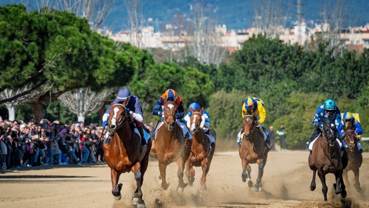 Imatge d'una de les curses del Cós de Sant Antoni