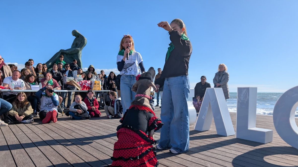 Un dels participants de la segona edició del Cós Blanc per a Mascotes