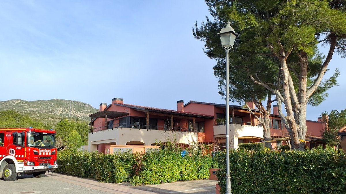Els bombers han hagut d'assegurar un arbre a Mont-roig del Camp per risc de caiguda.