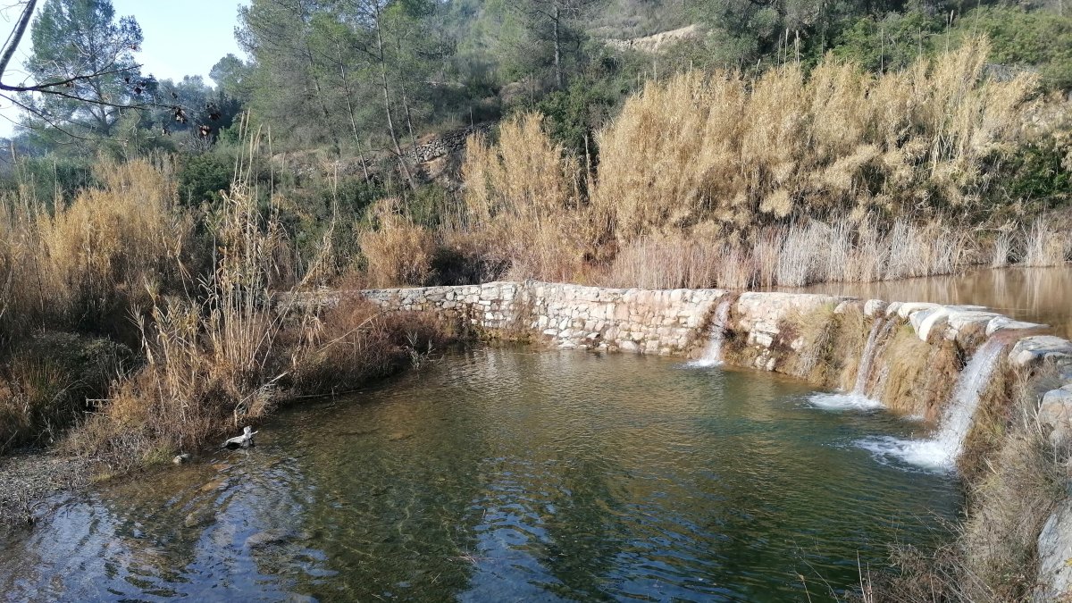 Imatge del riu Siurana, a l'assut de Coco.