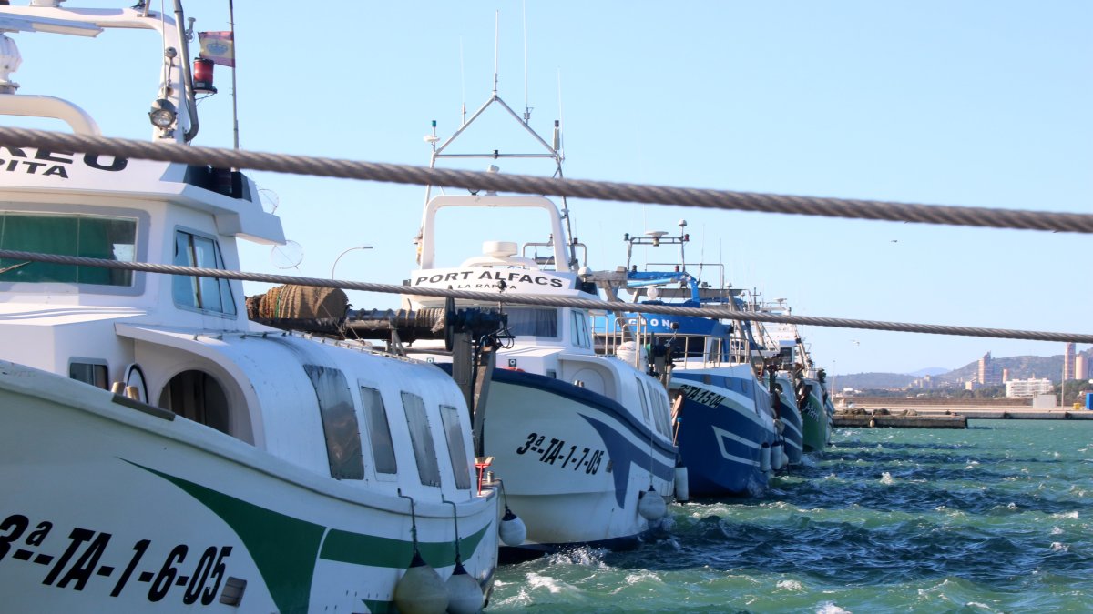 Barcas de arrastre amarradas en el puerto de la Ràpita este jueves.