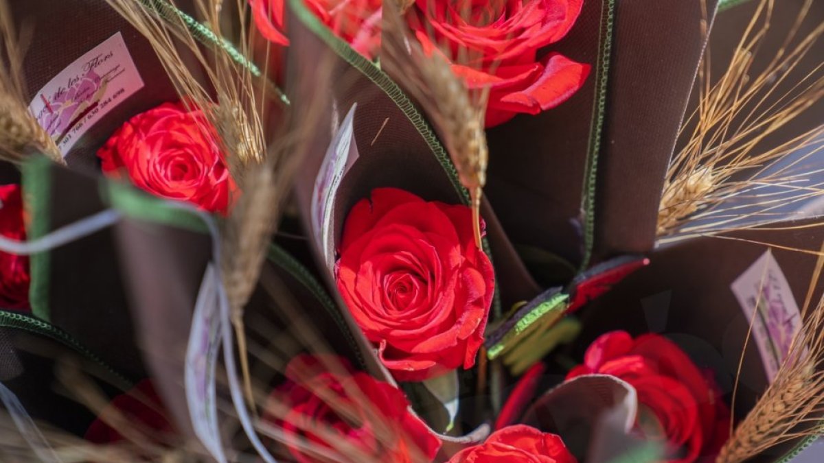 Imagen de archivo de rosas