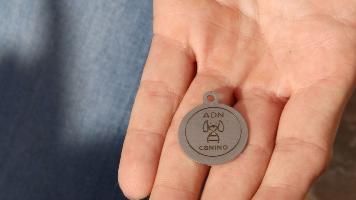 Imatge de les plaques que duran els gossos al coll amb la informació identificativa.