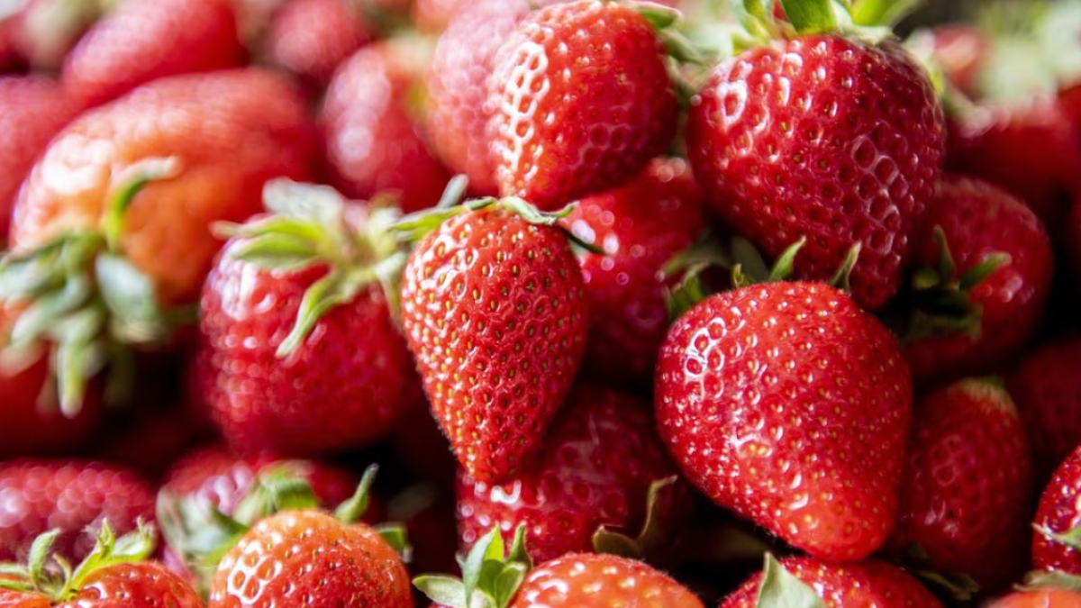 Imagen de archivo de fresas