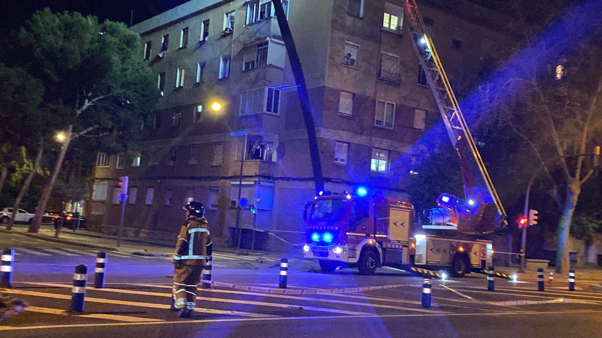 Palmera avinguda Salou Reus