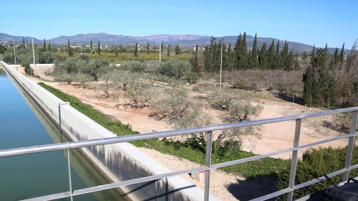 Terrenys on es construirà el nou dipòsit d'aigua crua de CAT a l'Ampolla.