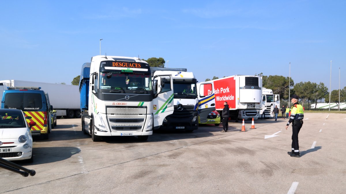 Alguns dels camions aturats per fer les comprovacions en el macrocontrol dels Mossos l'AP-7 a l'Aldea.