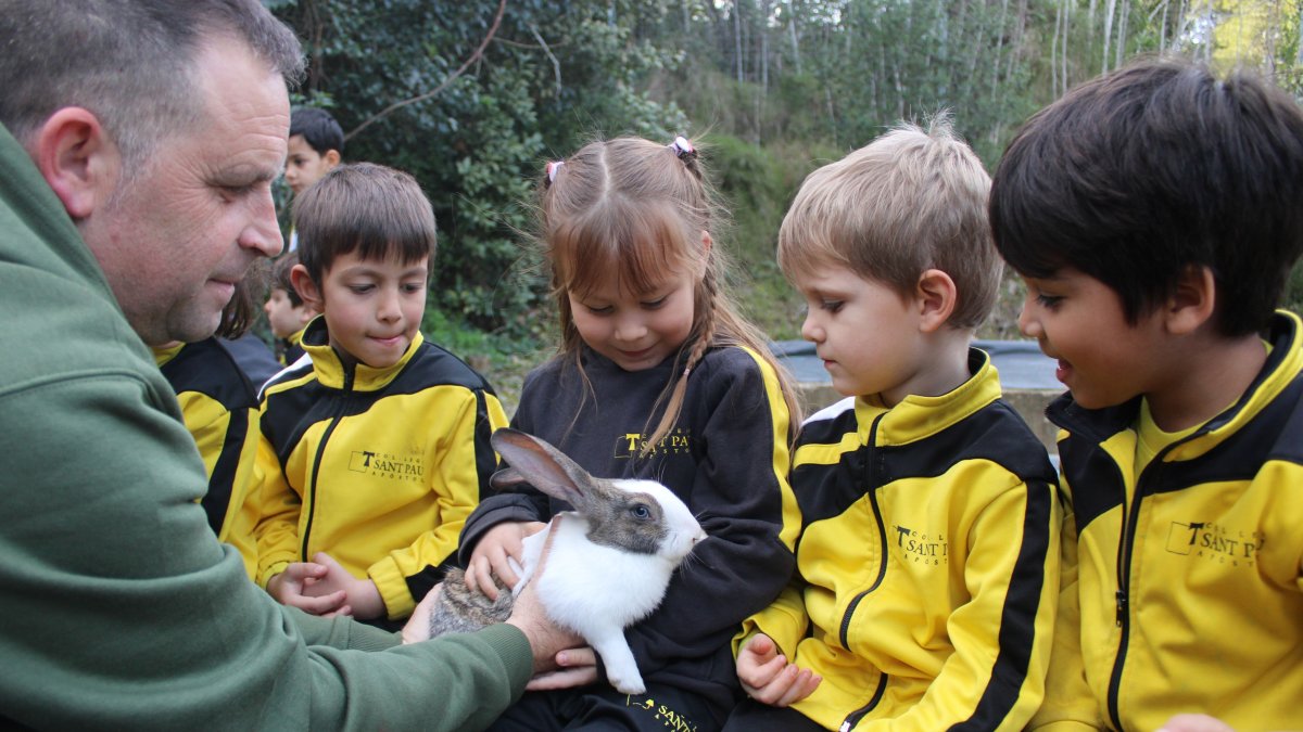 Imatge de recurs del Col·legi Sant Pau Apòstol