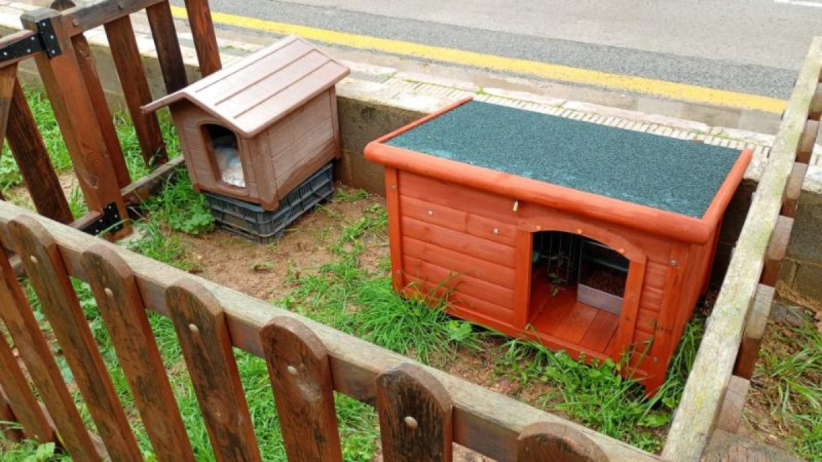 Altafulla crea quatre noves colònies felines amb casetes per millorar la gestió dels gats comunitaris