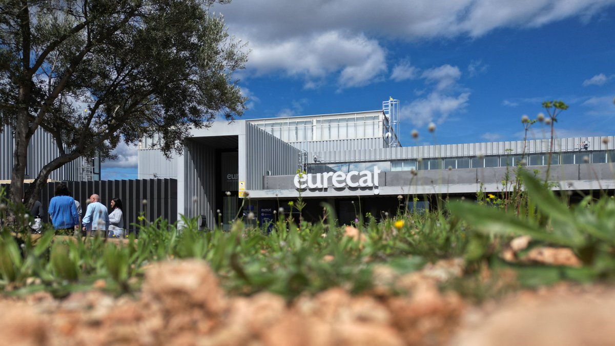 El centro Eurecat de Amposta creará la primera gran escultura de plantas para mariposas y polinizadores del Ebro