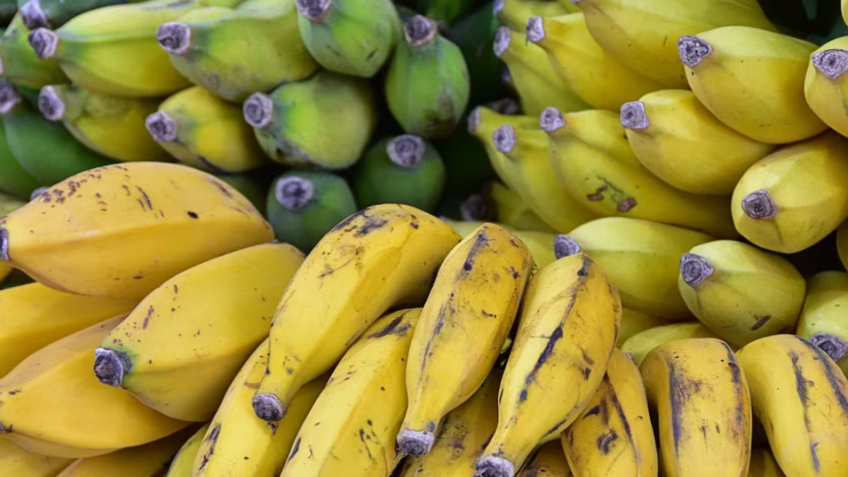 Imagen de archivo de plátanos