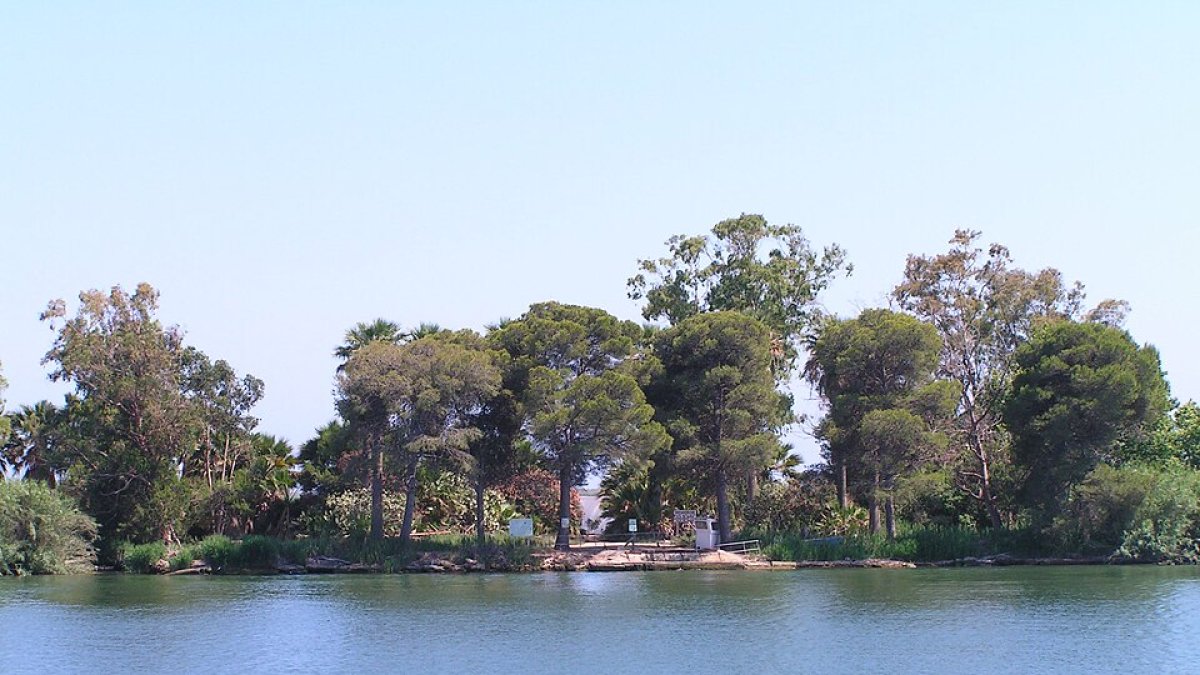 Imatge d'arxiu de l'Illa de Buda.