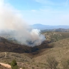 Incendi del Coll de l'Alba.