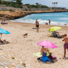 El consistori repetirà també l’experiència amb l’espai per a gossos de la platja del Miracle.