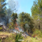 Imatge de l'incendi a Tivissa.