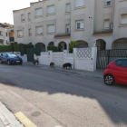 Imatge dels tres senglars al Camí Vell de la Pobla de Montornès de Torredembarra