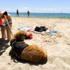 Imatge de la nova platja per a gossos de Torredembarra.