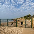Espai per a gossos habilitat a la platja Llarga.