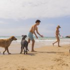 La Paloma i el seu fill juguen a pales amb la Janes i dos altres gossos al nou espai per caní de la platja Llarga de Tarragona.