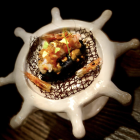 Imatge de la tapa en qüestió.