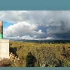 Imatge del cim del Pic de la Mola, de 318 metres d’altitud, situat al municipi de Torredembarra.