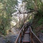 Imagen del Camí del Rec.
