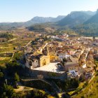Vista aérea del municipio de Tivissa.